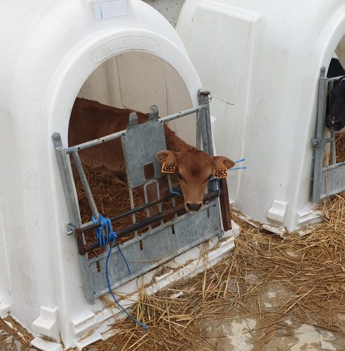 Paysans contactez nous !